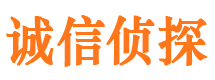 宽甸市调查公司